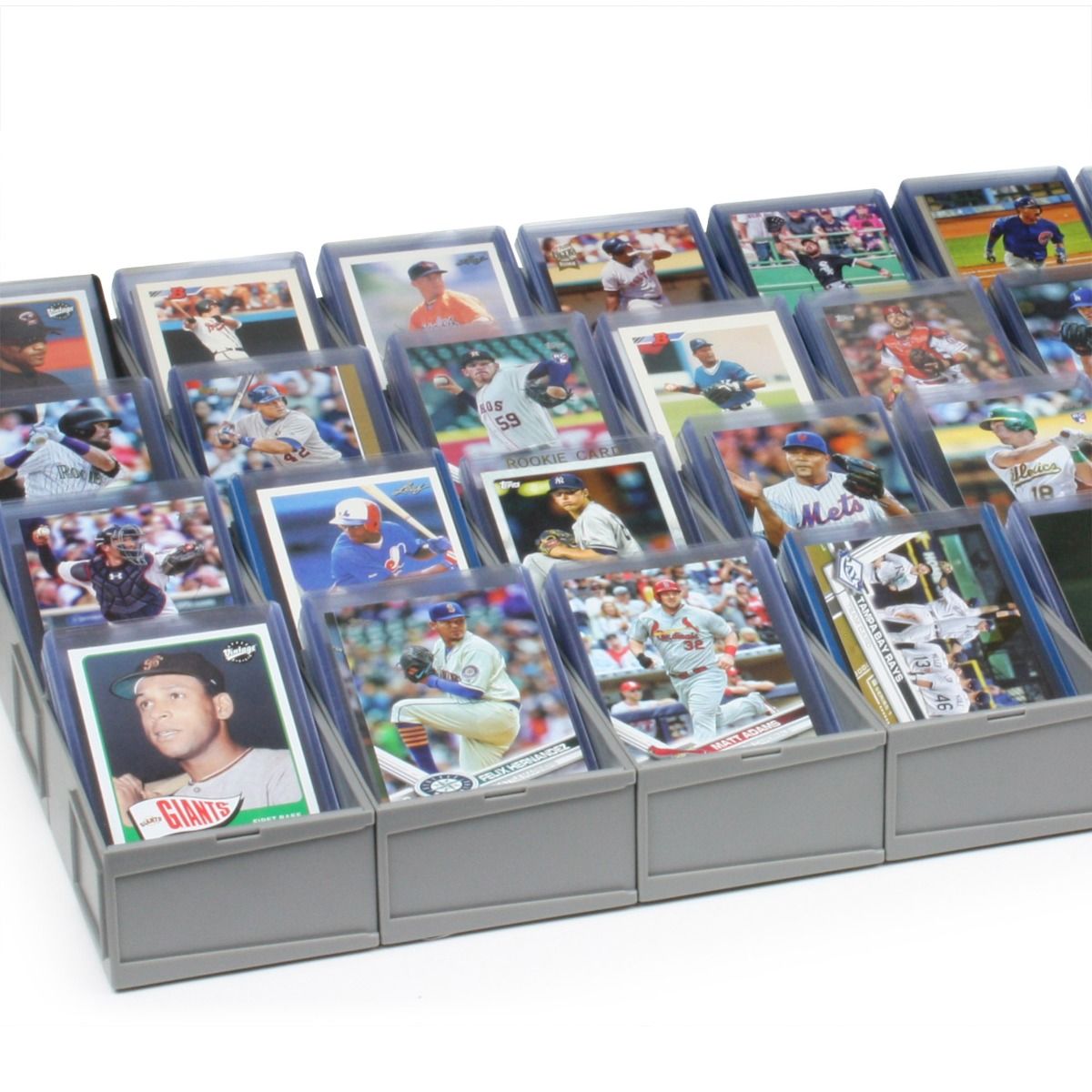 Modular Sorting Tray with baseball cards